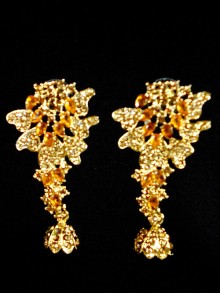 Fashion Earrings